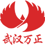 武汉市万正系统集成有限责任公司