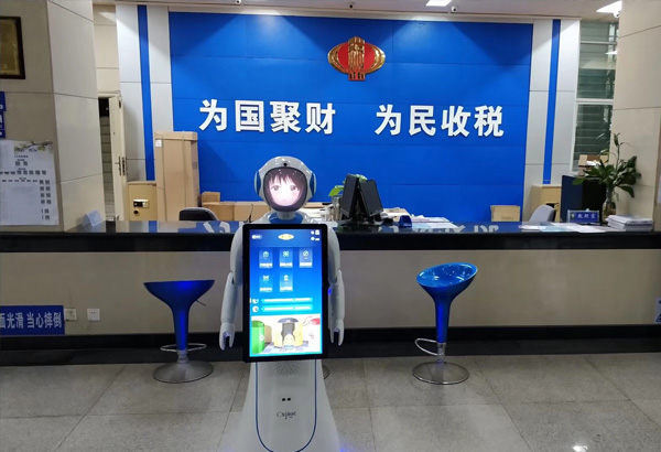 海南金税工程